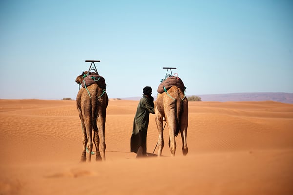 Things to do in Ouarzazate