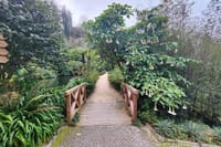 Sintra: Biester Palace Guided Tour and Pastry Tasting 3