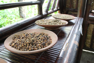 Private Half Day Cultural Tour of Ubud and Monkey Forest