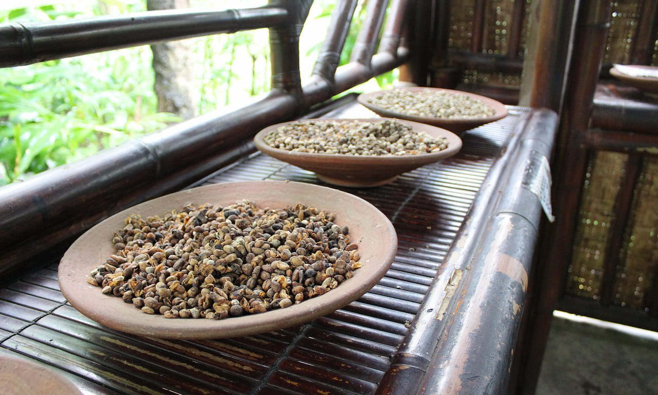 Private Half Day Tour to Ubud 4
