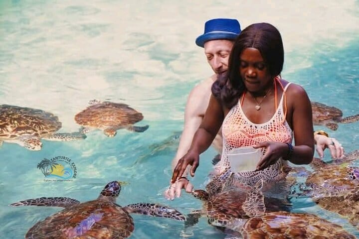 Zanzibar Prison Island, Jozani Forest and Salaam Cave Sea Turtles