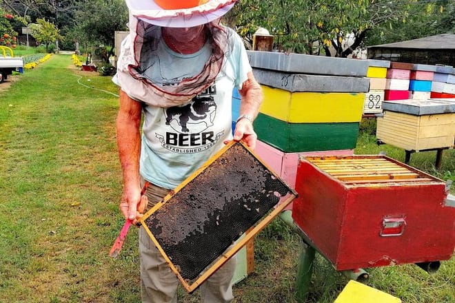 Beehives