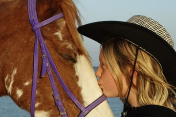 Premium 3 Hours Horse Riding Adventure with Swimming – Hurghada