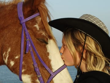 Premium 3 Hours Horse Riding Adventure with Swimming – Hurghada