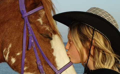 Premium 3 Hours Horse Riding Adventure with Swimming – Hurghada