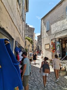 Arles et Les-Baux-de-Provence...  the splendor of Provence lifestyle