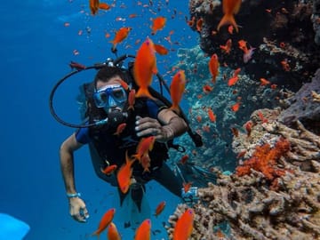 Yacht Tour and Dolphin Swimming Experience in Hurghada