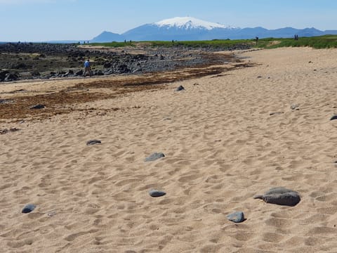 Private deutschsprachige Snæfellsnes Tagestour ab Reykjavík mit Luxus-Van, photo 5