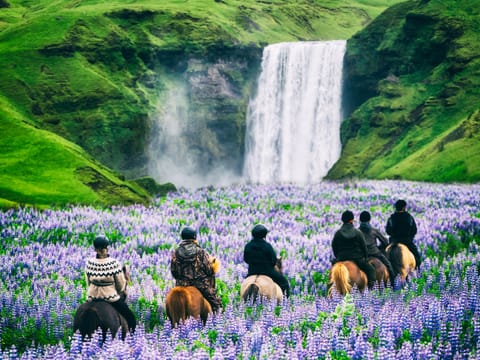 Complete Iceland Circle - 8-Day Self-Drive, photo 4