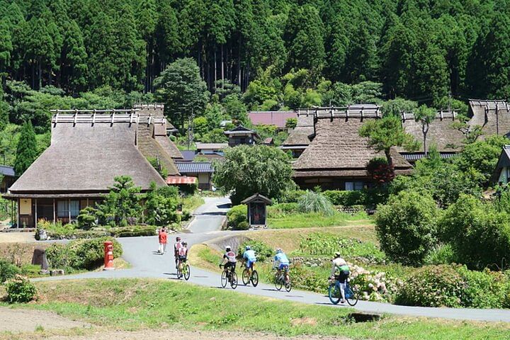 Full Day Kyoto Suburb Tour from Osaka