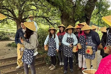 Hiking Day Trip at Hangzhou's West Lake and Longjing Village