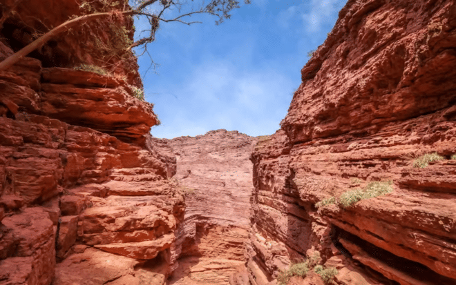 Salta: Cafayate, tierra de vinos. 5