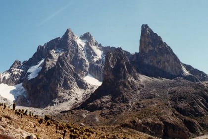 Mount Kenya National Park Full-Day Hike