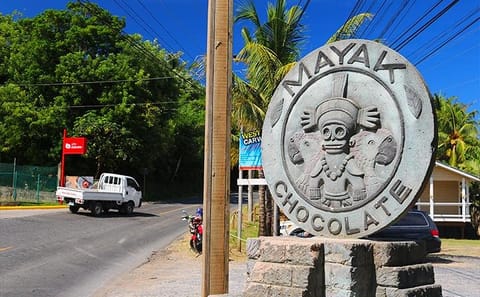 Roatan Sightseeing Tour of Chocolate, Cigar, and Rum Factories