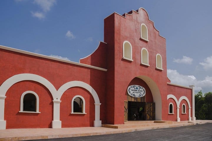 Playa del Carmen Shopping Tour Fifth Avenue and Mamitas Beach Club 10