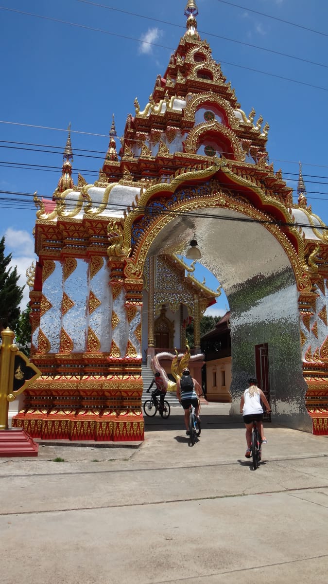 “BIKE 7X” 3-Hour Mae Ngat Valley rice field cycling, from Chiang Mai