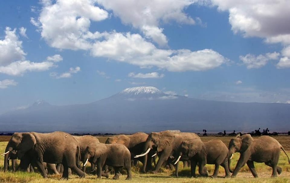 2-Day Wildlife Safari in Amboseli National Park, Kenya