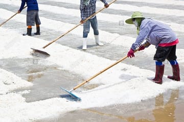 Visit Salt factory and the Famous Munneswaram Hindu Temple From Negombo