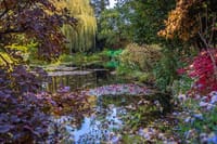 Audio Tour in Giverny and Versailles with Pick up and Drop off  3