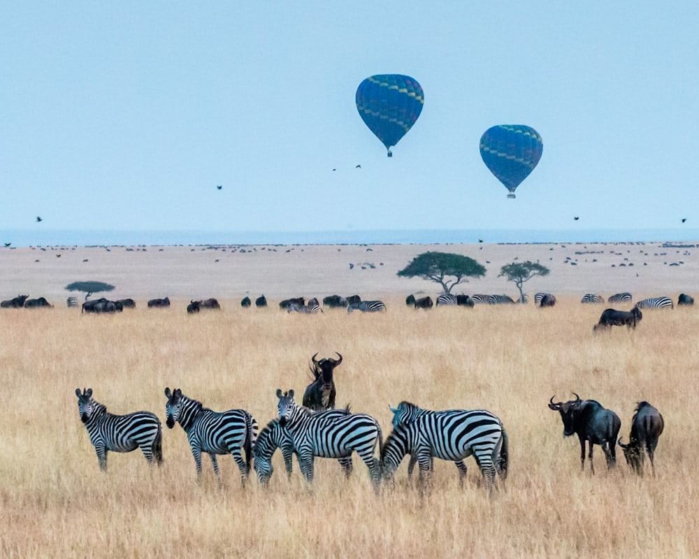 3-Day Amboseli and Tsavo West from Nairobi