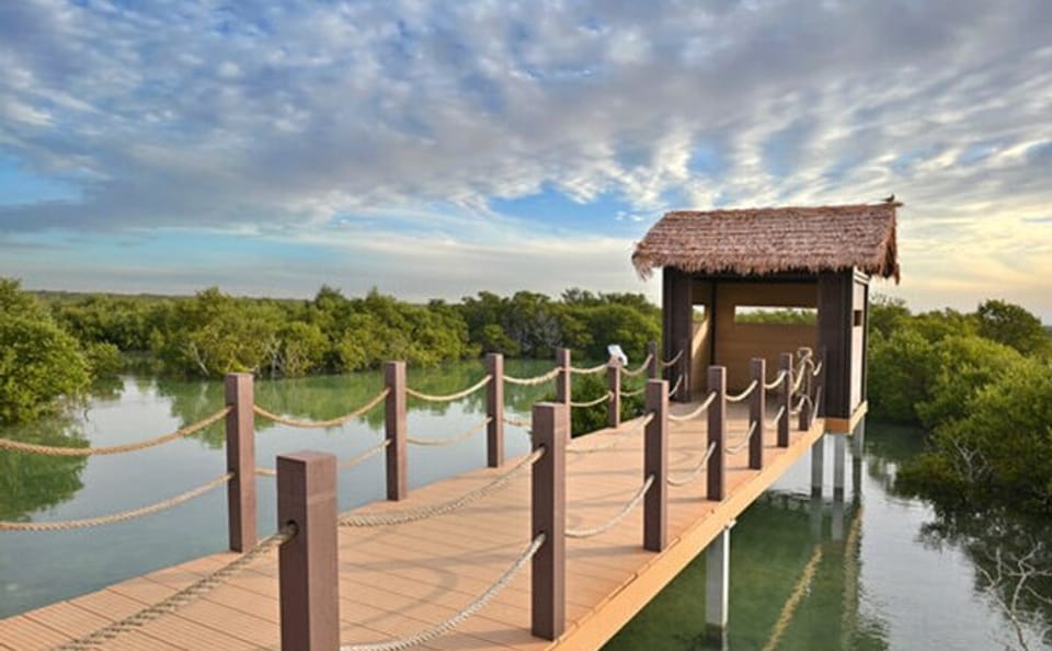 North Qatar Half-Day Cultural and Nature Tour from Doha