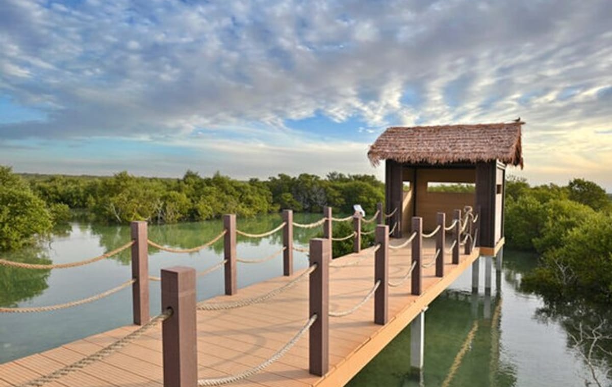 North Qatar Half-Day Tour: Al Zubarah, Purple Island & Mangroves