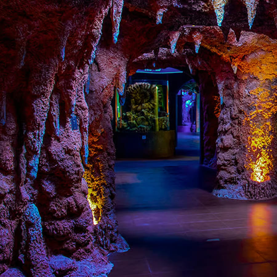 Abu Dhabi : The National Aquarium Aquatic Wonderland,