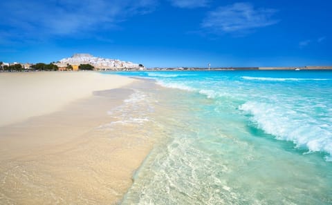 Day Tour from Valencia to Peñiscola with Castle Access
