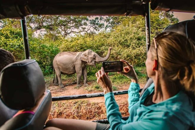 Yala National Park Safari from Galle 10