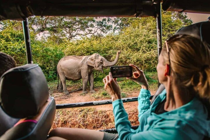 Yala National Park Safari from Galle 10