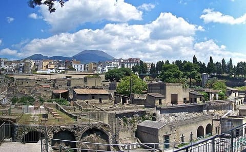 Herculaneum Archaeological Tour from Naples with Lunch