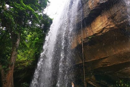 Shimba Hills National Reserve Day Tour with Sheldrick Falls