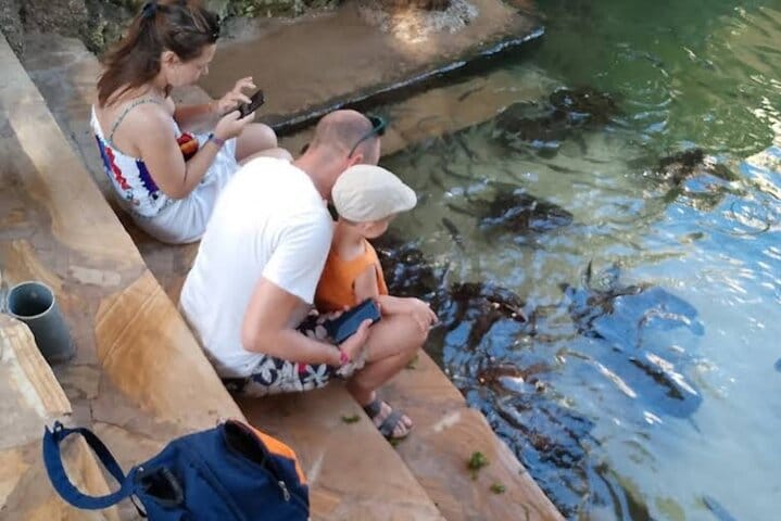 Explore Stone Town and Jozani Forest with Turtles Zanzibar