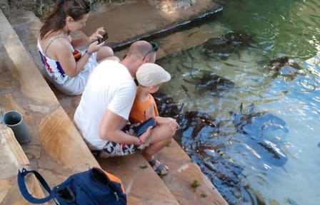 Swim with Sea Turtles at The Lagoons Zanzibar