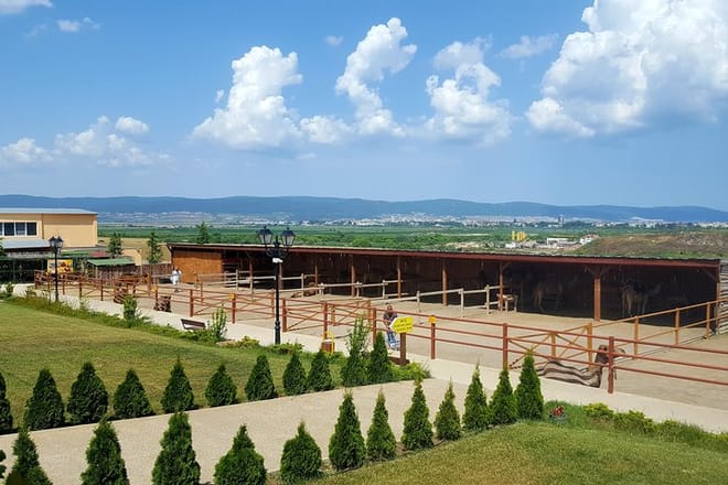 Entrance Ticket for Camel Park Sunny Beach