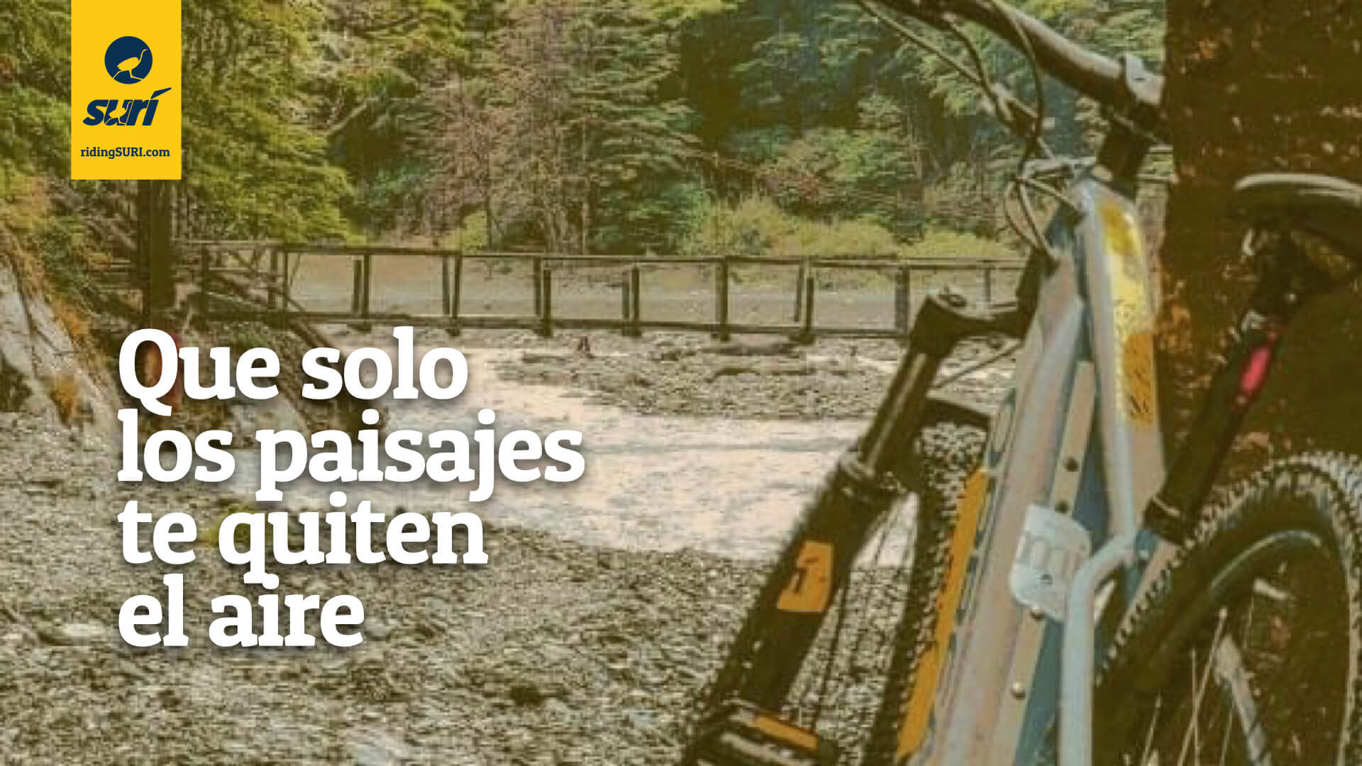 Arrienda una eBike SURi y