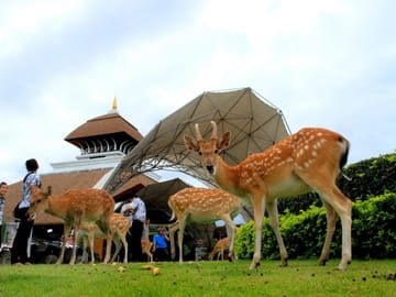 Phi Phi And Khai Nai Island Tour By Speedboat