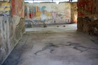 Pompeii, Herculaneum And Vesuvius - Group Tour 6