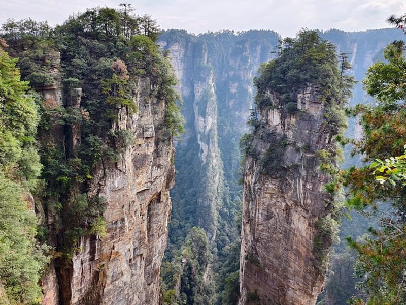 Zhangjiajie National Forest Park Ticket Booking
