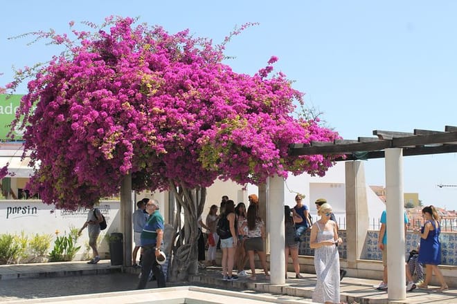 Lisbon Private Walking Sightseeing Tour
