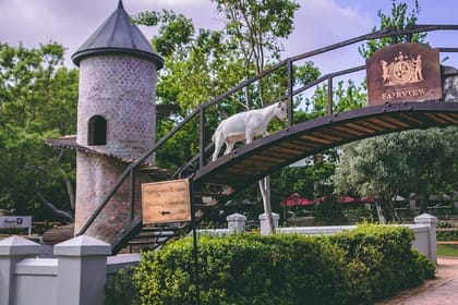 Aquila Game Safari with Transportation and Lunch private tour