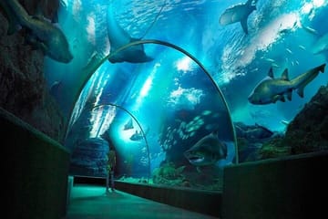 SEA LIFE Bangkok Ocean World Standard Admission Ticket