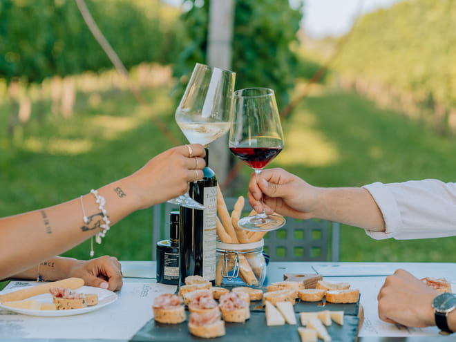 Wine and Food Tasting in the Vineyards photo 3