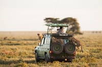 Masai mara game drive