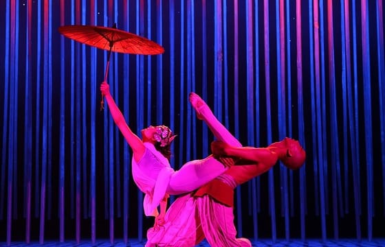 Beijing night Acrobatic Show with private pick up/drop off.