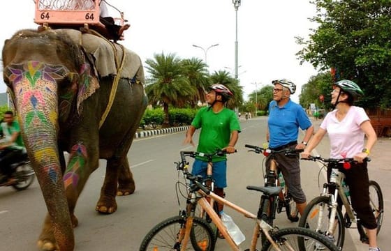 Morning Jaipur Cycle Tour