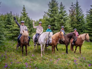 Classic Whales & Viking Horses, photo 6