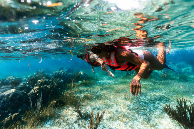 Puerto Morelos Reef Snorkeling Adventure with beachside lunch