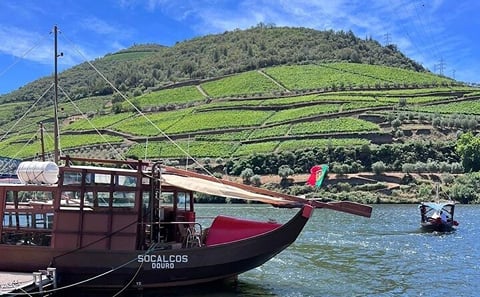Douro Valley Tour – 3 Wine tastings, Lunch & river Cruise