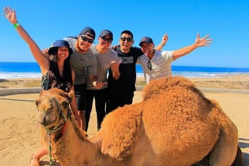 Camel Riding Adventure in Hurghada's Desert Landscapes